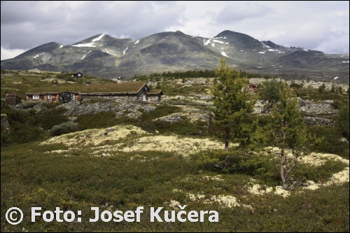 Rondane