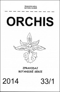 orchis-33-1.jpg