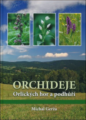 orchideje-oh.jpg