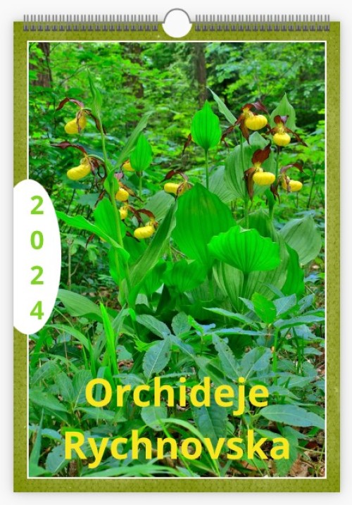 kal-orchideje-2024-ob.jpg