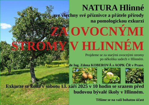 pozvanka-a4-zelena.jpg